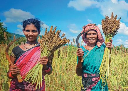 The Agri-Plus Vision